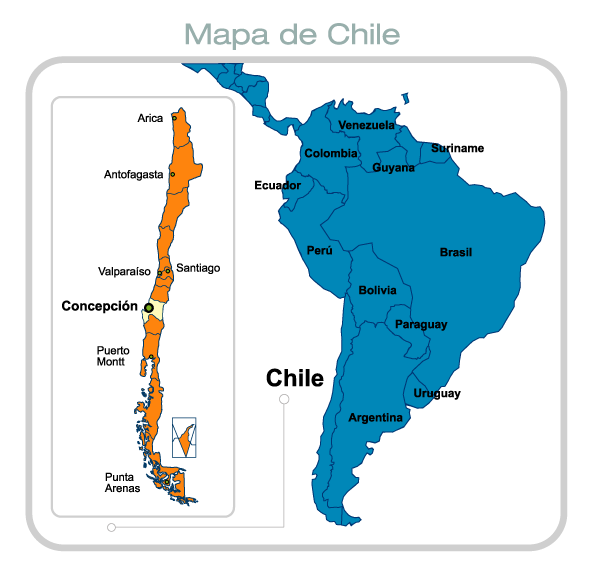 mapachile1.png
