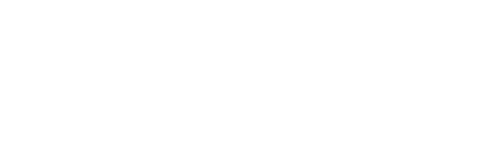 Sello de Acreditación de Excelencia del CNA