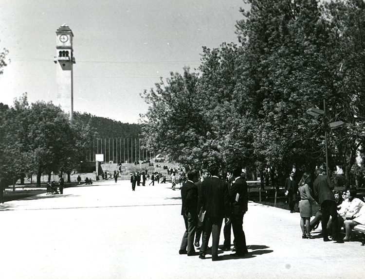 Campanil Universidad de Concepción 1 - Archivo Histórico Concepción