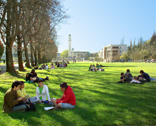 Imagen UdeC